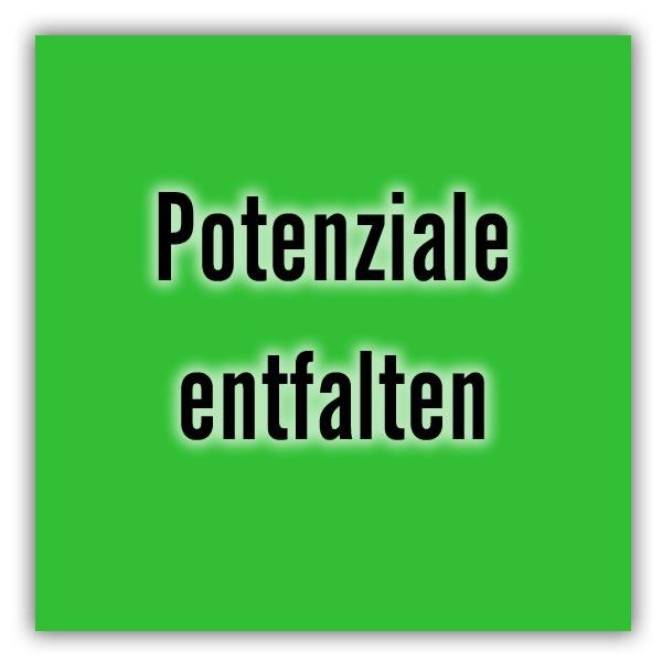 Potenziale Entfalten in  Hartenstein - Zschocken, Stein und Thierfeld